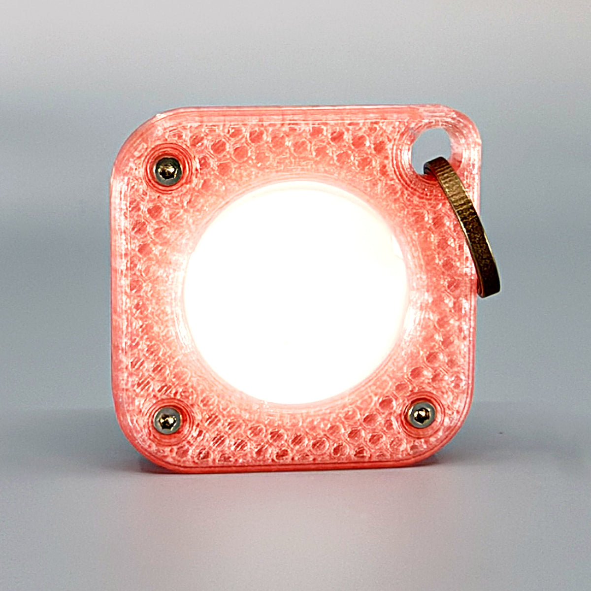 AirTag Keychain in Pink – image 24 of 35